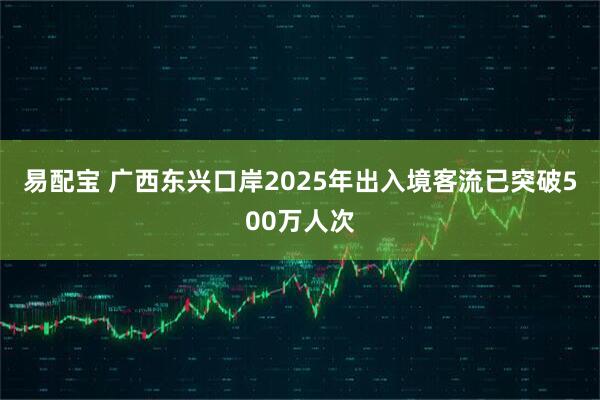 易配宝 广西东兴口岸2025年出入境客流已突破500万人次