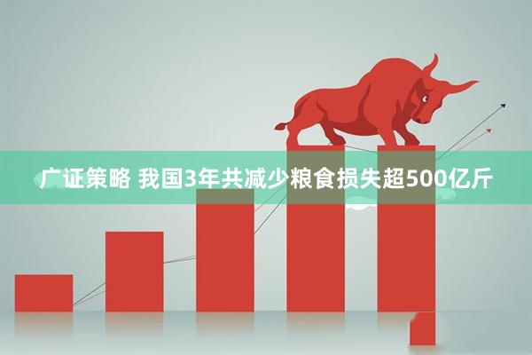 广证策略 我国3年共减少粮食损失超500亿斤