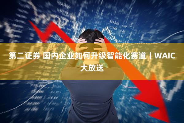 第二证券 国内企业如何升级智能化赛道丨WAIC大放送