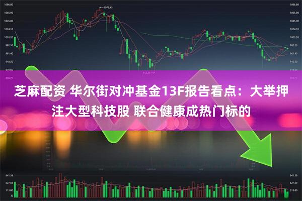 芝麻配资 华尔街对冲基金13F报告看点：大举押注大型科技股 联合健康成热门标的