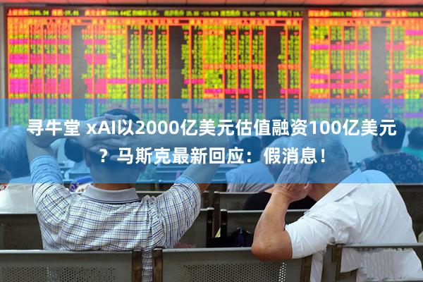 寻牛堂 xAI以2000亿美元估值融资100亿美元？马斯克最新回应：假消息！