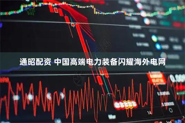 通昭配资 中国高端电力装备闪耀海外电网