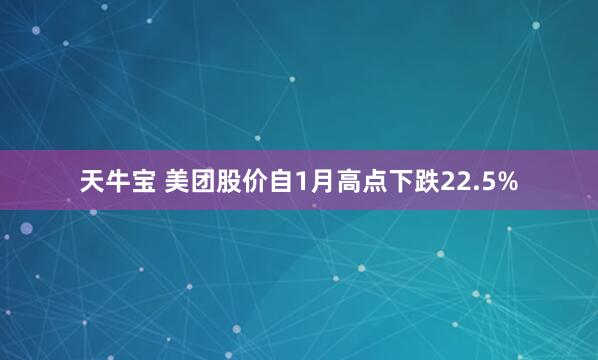 天牛宝 美团股价自1月高点下跌22.5%