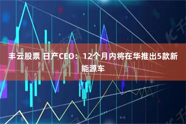 丰云股票 日产CEO：12个月内将在华推出5款新能源车