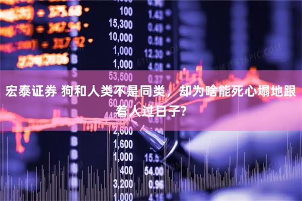 宏泰证券 狗和人类不是同类，却为啥能死心塌地跟着人过日子?