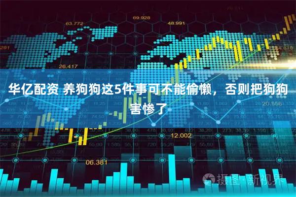 华亿配资 养狗狗这5件事可不能偷懒，否则把狗狗害惨了