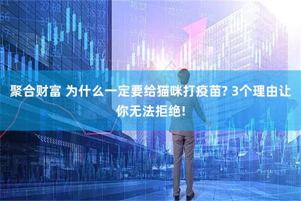 聚合财富 为什么一定要给猫咪打疫苗? 3个理由让你无法拒绝!